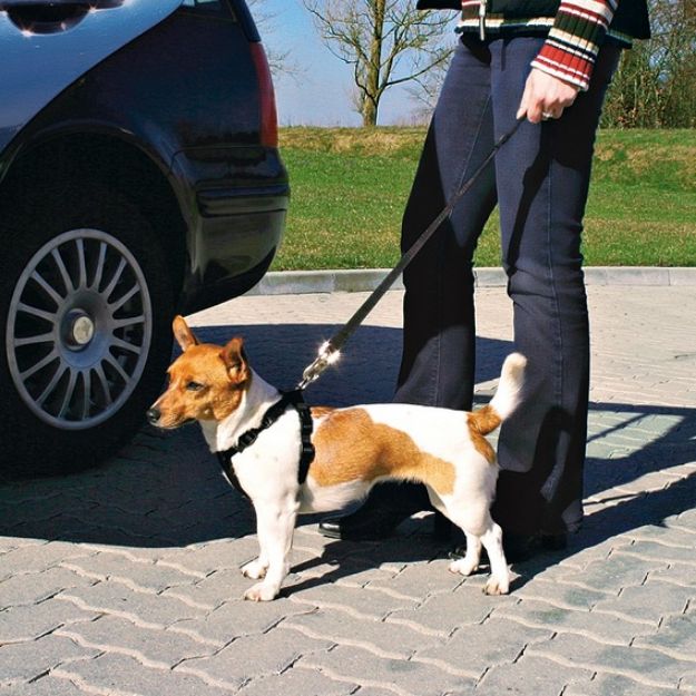 Picture of Trixie Köpek Emniyet Kemeri Xl 80-110Cm
