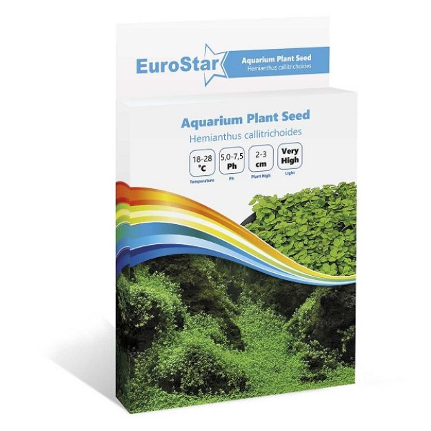 Picture of Eurostar Akvaryum Bitki Tohumu Hemianthus Callitrichoides