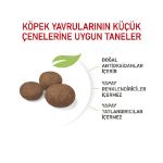Picture of Royal Canin Medium Junior Orta Irk Yavru Köpek Maması 4Kg
