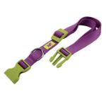 Picture of Ferplast Club C10/32 Köpek Boyun Tasması