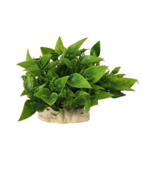 Picture of plastik akvaryum bitkisi colour mix 202638