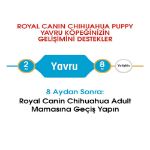 Picture of Royal Canin Chihuahua Junior Yavru Köpek Maması 1.5 Kg
