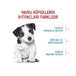 Picture of Royal Canin Mini Junior Küçük Irk Yavru Köpek Maması 4Kg