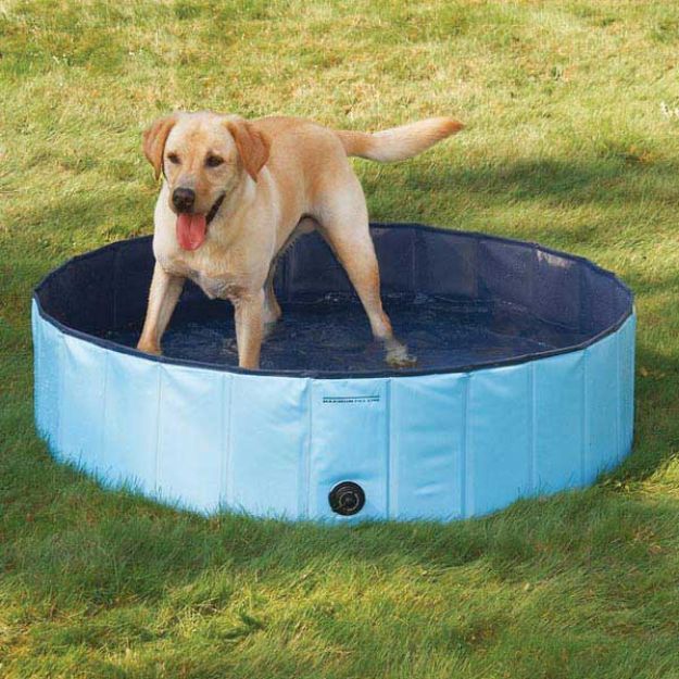 Picture of Trixie Köpek Yüzme Havuzu Çap 120 cm