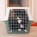 Picture of Ferplast Atlas 20 Kedi ve Köpek Taşıma Çantası