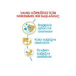 Picture of Royal Canin Cavalier Junior Yavru Köpek Maması 1.5 Kg