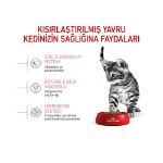 Picture of Royal Canin Kitten Sterilised Kısırlaştırılmış Yavru Kedi Maması 2 Kg