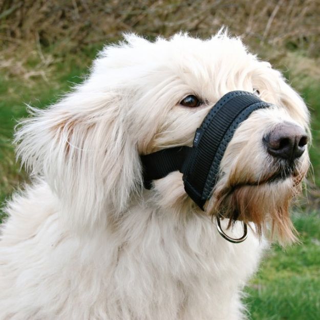 Picture of Trixie Köpek Ağızlık, Xxl ( Danua )