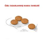Picture of Royal Canin Mini Dermacomfort Küçük Irk Hassas Yetişkin Köpek Maması 3 Kg