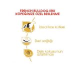 Picture of Royal Canin French Bulldog Yetişkin Köpek Maması 3 Kg