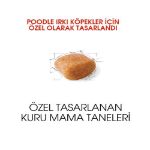 Picture of Royal Canin Poodle Yetişkin Köpek Maması 3 kg