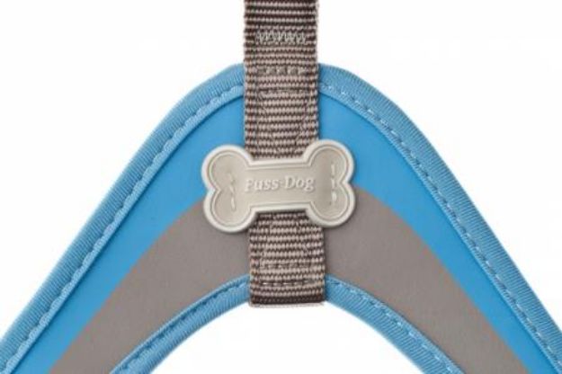 Picture of Pettorina Coco XLarge Blue 