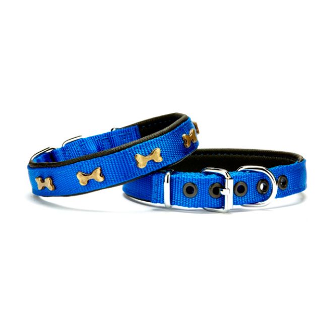 Picture of Doggie Kemik Metal Süslü Softlu Köpek Boyun Tasması Mavi DSBT-2562 M