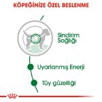 Picture of Royal Canin Mini Adult Küçük Irk Pouch Konserve 85 gr