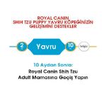 Picture of Royal Canin Shih Tzu Puppy Yavru Köpek Maması 1,5 Kg