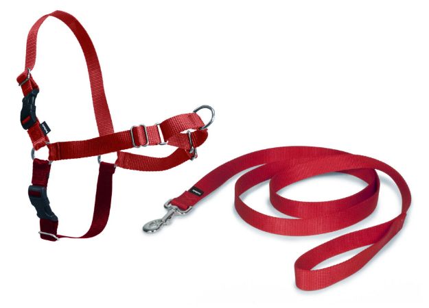 Picture of PetSafe Easy Walk Harness Kırmızı Köpek Göğüs Tasması Medium 51-71 cm