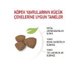Picture of Royal Canin Mini Junior Küçük Irk Yavru Köpek Maması 2Kg