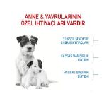 Picture of Royal Canin Mini Starter Mother & Babydog Küçük Irk Yavru Köpek Maması 4 Kg