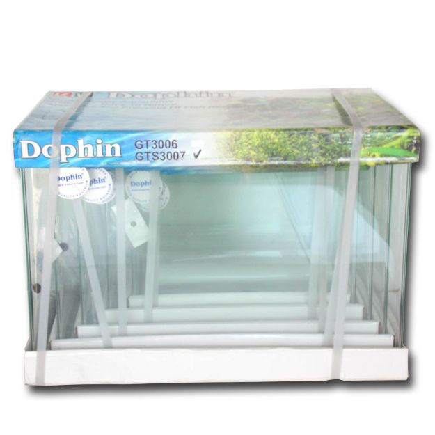 Picture of Dophin Bombeli Akvaryum 5 Boy No:2 200-GTS3007