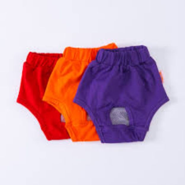 Picture of Pawstar Solid Colors 1 Underwear No 1 23064-1