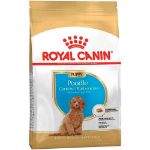 Picture of Royal Canin Poodle Yavru Köpek Maması 3 kg