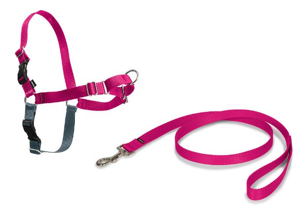 Picture of PetSafe Easy Walk Harness Pembe Köpek Göğüs Tasması Medium 51-71 cm