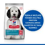 Picture of Hill's Hypoallergenic Yetişkin Orta Irk Somonlu Köpek Maması  12 Kg