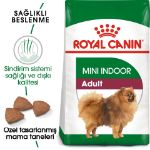 Picture of Royal Canin Mini İndoor Adult Köpek Maması 1,5 kg