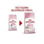 Picture of Royal Canin Kitten Yavru Kedi Maması 2Kg