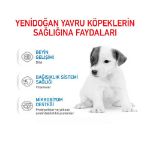 Picture of Royal Canin Baby Dog Milk Yavru Köpek Süt Tozu 400 gr