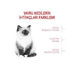 Picture of Royal Canin Kitten Yavru Kedi Maması 4Kg