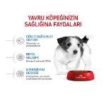 Picture of Royal Canin Mini Junior Küçük Irk Yavru Köpek Maması 2Kg