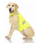 Picture of Pawise Reflektörlü Köpek Yeleği Small  30-40/36-46 CM