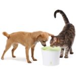 Picture of Catit Fresh Otomatik Şelale Kedi Suluğu 3 Lt