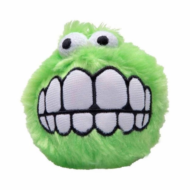 Picture of Rogz Grinz Peluş Top Köpek Oyuncak Medium 6,5 cm Yeşil