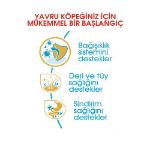 Picture of Royal Canin Yorkshire Terrier Yavru Köpek Maması 1.5Kg