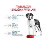 Picture of Royal Canin Giant Junior Dev Irk Köpek Maması 15Kg