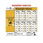 Picture of Royal Canin German Shepherd Yetişkin Alman Kurdu Köpek Maması 11 Kg