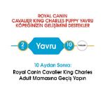 Picture of Royal Canin Cavalier Junior Yavru Köpek Maması 1.5 Kg