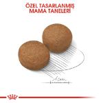 Picture of Royal Canin Maxi Adult Büyük Irk Yetişkin Köpek Maması 15Kg