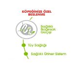 Picture of Royal Canin XSmall Adult Köpek Maması 3Kg