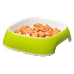 Picture of Ferplast Glam Medium Acid Green Kedi Köpek Mama Kabı 0,75 Lt