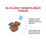 Picture of Royal Canin Mini Starter Mother & Babydog Küçük Irk Yavru Köpek Maması 4 Kg