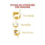 Picture of Royal Canin Poodle Yetişkin Köpek Maması 3 kg