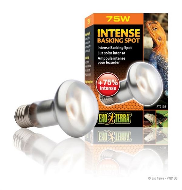 Picture of Exo Terra Spot Sürüngen İçin Lamba 75 watt 63 Mm 