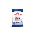 Picture of Royal Canin Maxi Adult Büyük Irk Yetişkin Köpek Maması 15Kg