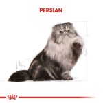 Picture of Royal Canin Persian Kedi Maması 10Kg