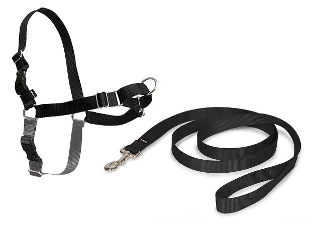 Picture of PetSafe Easy Walk Harness Siyah Köpek Göğüs Tasması Medium 51-71 cm