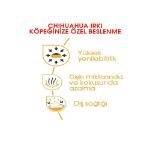 Picture of Royal Canin Chihuahua Adult Yetişkin Köpek Maması 1.5 Kg