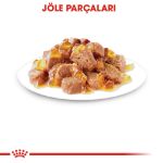 Picture of Royal Canin Intense Beauty Jelly Kedi Konservesi 85gr